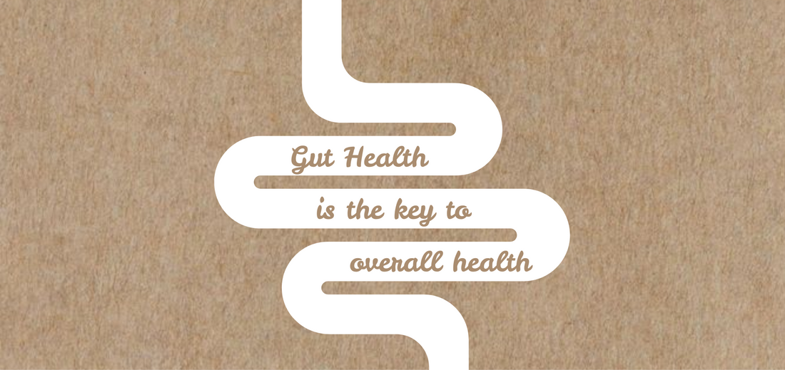 Gut health is the key to overall happiness - phrase in an intestine on a brown background to show how good kynd helps your gut with prebiotics